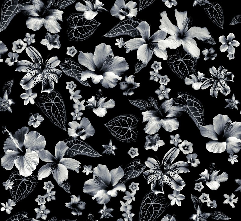 Jean-Paul Gaultier 3340 CARIACOU