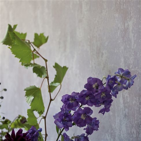 designers-guild-p555-ajanta