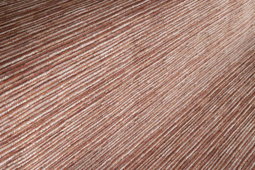 christian-fischbacher-2857-oseaan