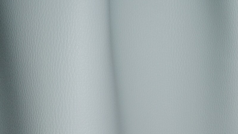 LELIEVRE 0248 METEORE