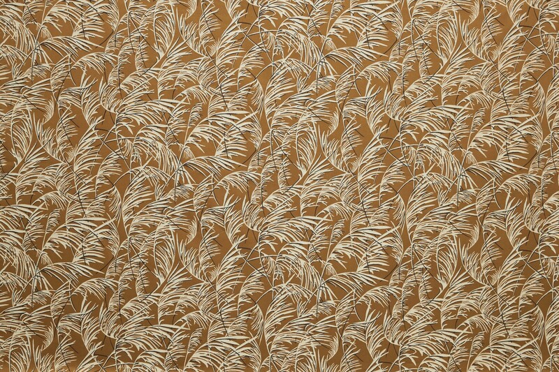 LELIEVRE 0637 GRAMINAE