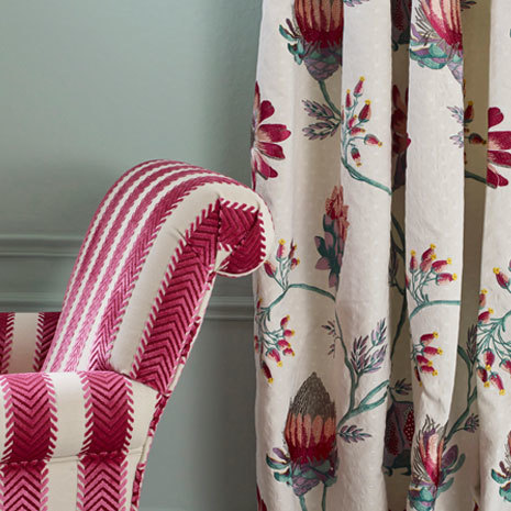 nobilis-10529-scarabee