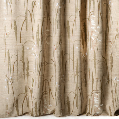 Nobilis 10856 Herbier