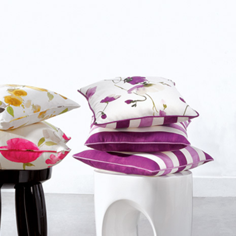 nobilis-10366-camelia