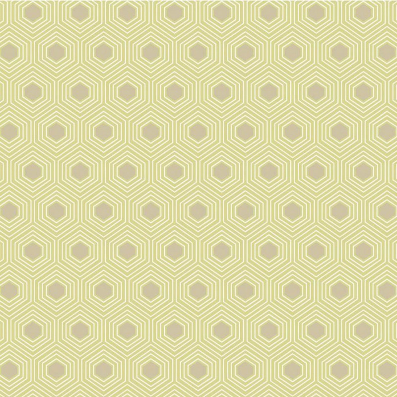 Papier peint NOBILIS : David