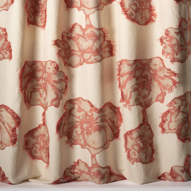 Nobilis 10857 Peonia