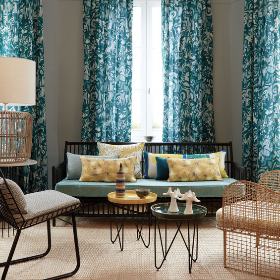 nobilis-10732-sapajou