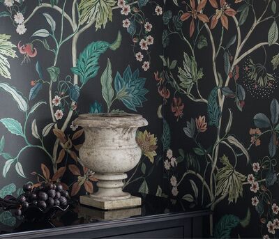 osborne-and-little-w7907-chellah