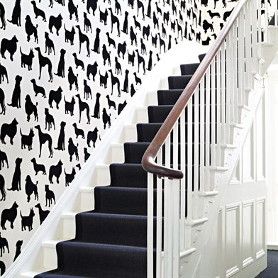 osborne-and-little-w6181-best-in-show