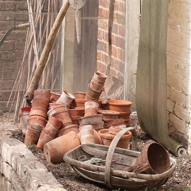 nina-campbell-ncw4106-oakley