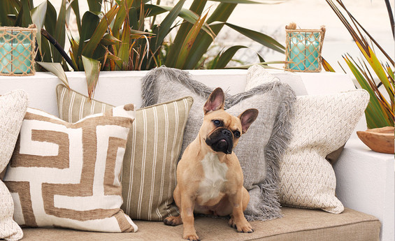 zinc-textile-z424-boardwalk