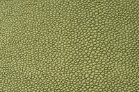 casal_5129-30.jpg