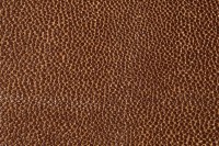 casal_5129-50.jpg