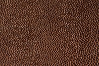 casal_5129-53.jpg