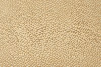 casal_5129-74.jpg