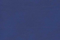5245_14_N.jpg