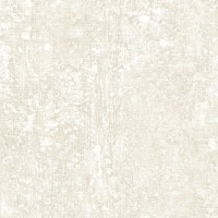 JENSEN_PAPER-BIRCH(JN21-01).jpg