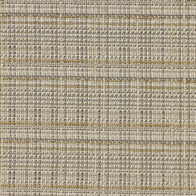 nobilis_10494-02.jpg