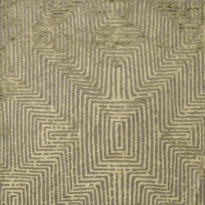 nobilis_10510-36.jpg
