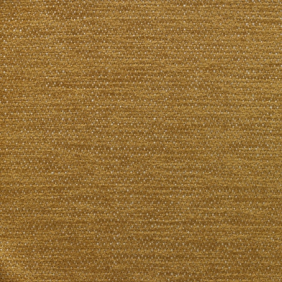 nobilis_10397-35.jpg
