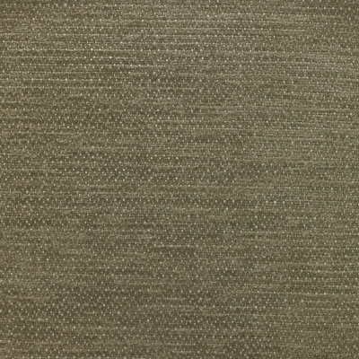 nobilis_10397-73.jpg
