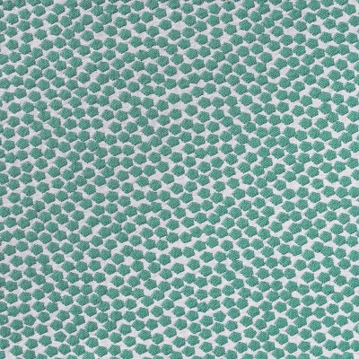 nobilis_10591-71.jpg