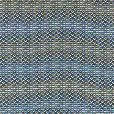 nobilis_10636-65.jpg