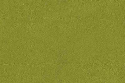 5245_30_N.jpg