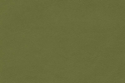 5245_33_N.jpg