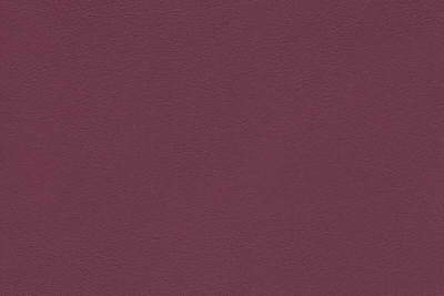5245_80_N.jpg
