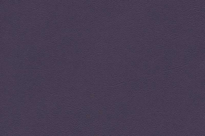 5245_96_N.jpg