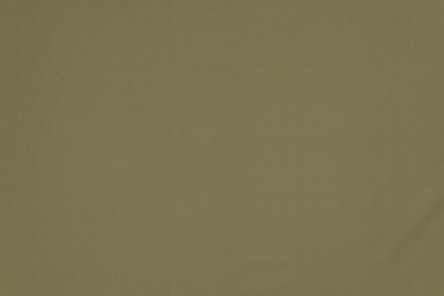 cotton_belt_14020_177_1.jpg