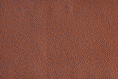 elani_14669_flat_903_web_1.jpg