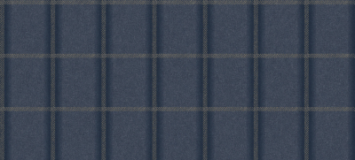 TATTERSALL-PLAID_STONEWASHED(TP21-07).jpg
